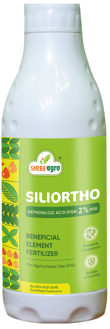 SILIORTHO